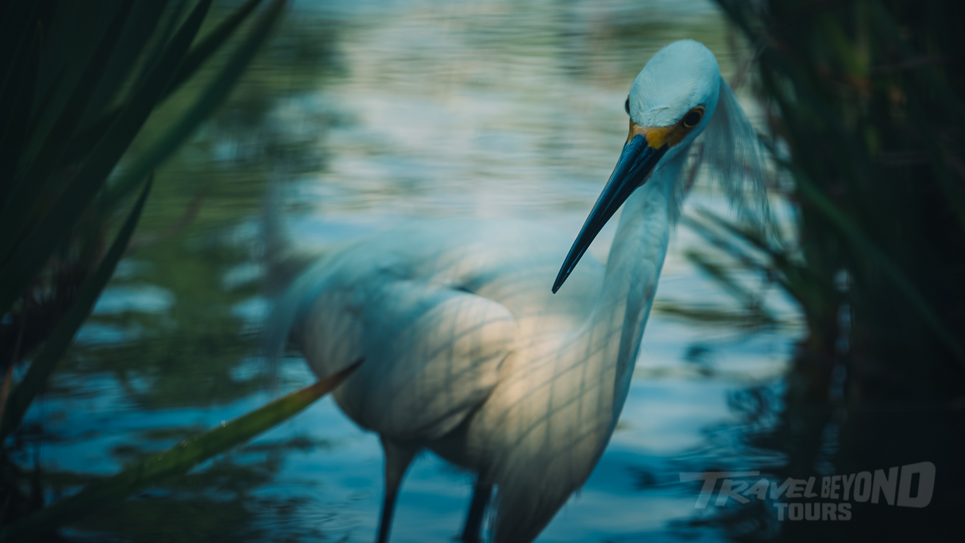 Before Travel Beyond, There Was Roberto gallery photo 12