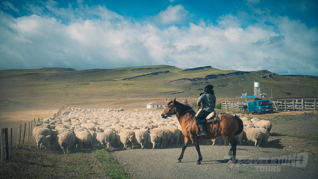 When is the best time 
to travel to Patagonia? gallery photo 5