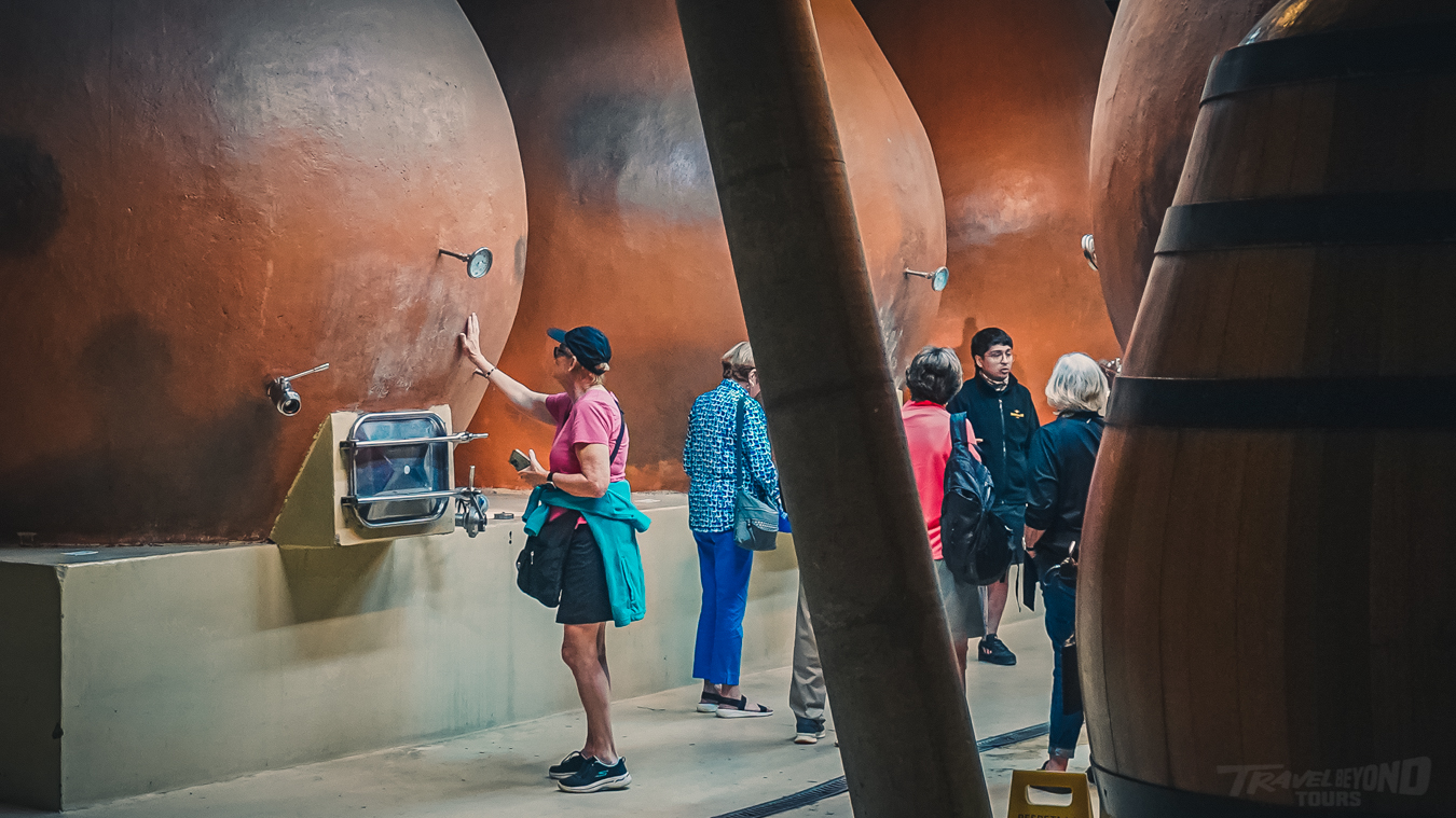 Chile’s Wine Day Tour from the Port