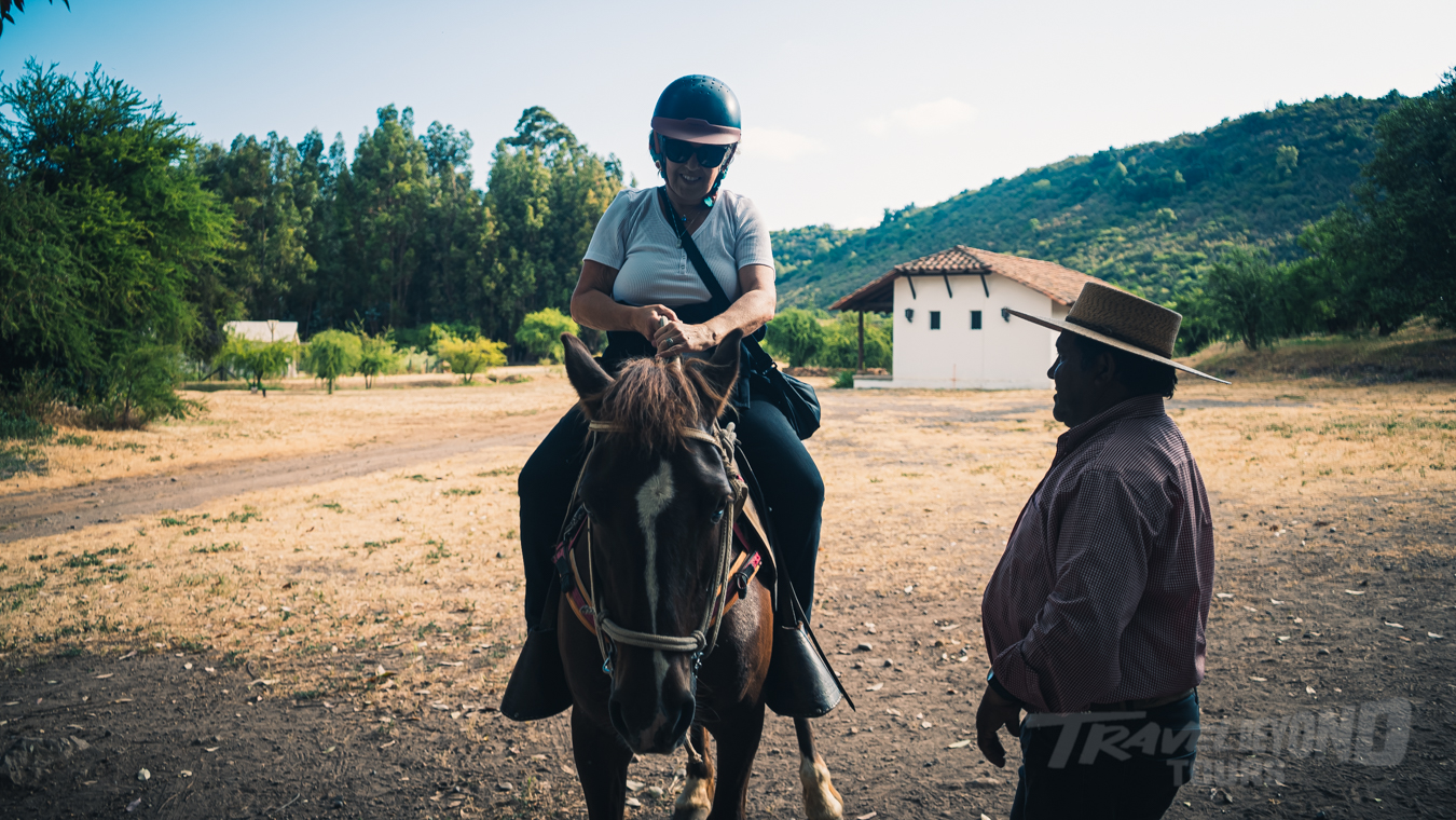 Colchagua Valley Horseback & Wine Tour