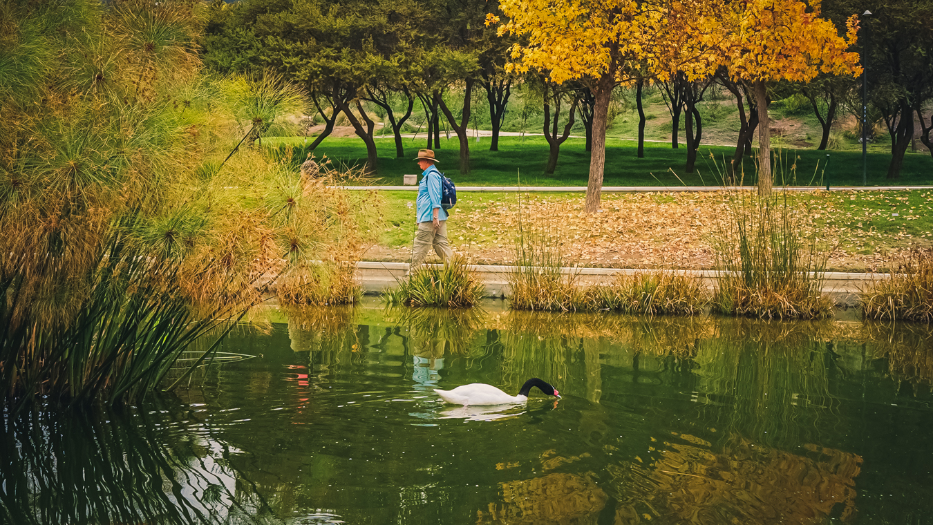 Santiago Walking Tour - Personalized Service