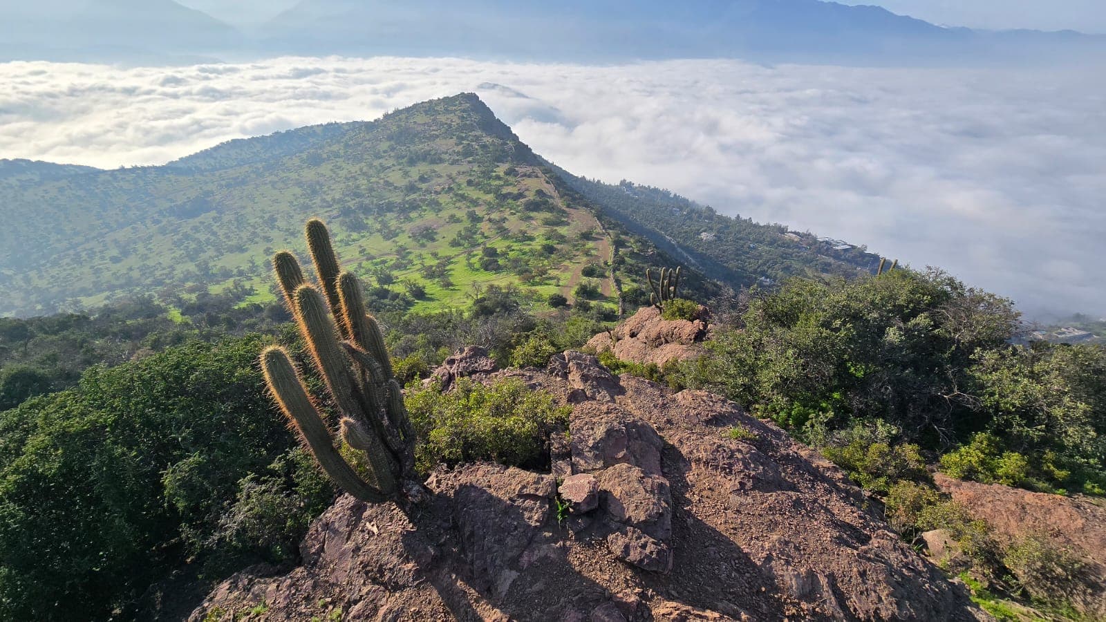  Discover Santiago from the hills with  Private Guide